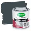 Hoogglans 489 Antraciet
