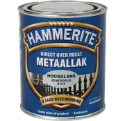 Hammerite Metaallak Hoogglans Zilver S015