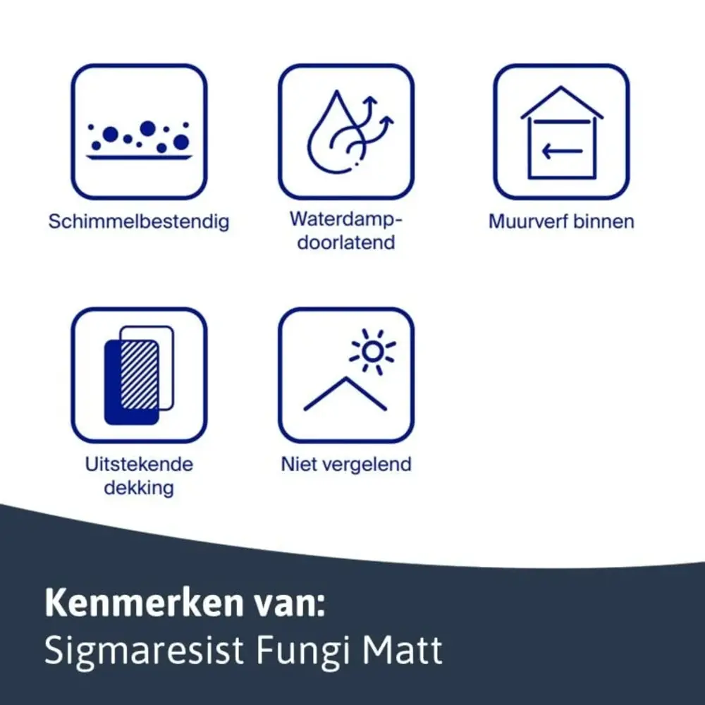 Sigma Sigmaresist Fungi Matt | Matte Schimmelwerende Muurverf