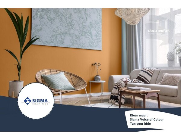 Sigma Sigma ColourSticker Tan Your Hide PPG1091-6 | Zelfklevende Kleurstaal