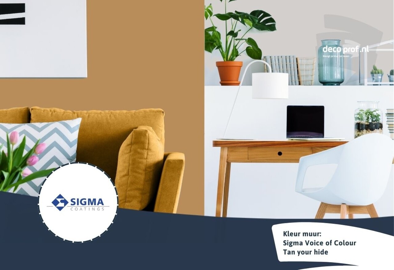 Sigma Sigma ColourSticker Tan Your Hide PPG1091-6 | Zelfklevende Kleurstaal