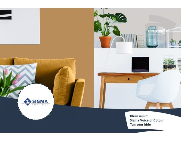 Sigma Sigma ColourSticker Tan Your Hide PPG1091-6 | Zelfklevende Kleurstaal