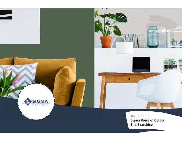 Sigma Sigma ColourSticker Still Searching PPG13-31 | Zelfklevende Kleurstaal