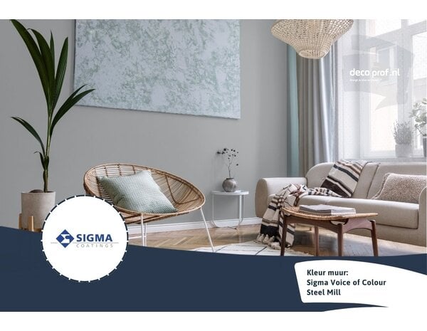 Sigma Sigma ColourSticker Steel Mill PPG1001-4 | Zelfklevende Kleurstaal