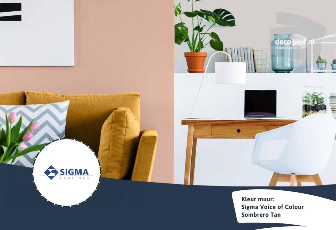 Sigma Sigma ColourSticker Sombrero Tan PPG16-01 | Zelfklevende Kleurstaal