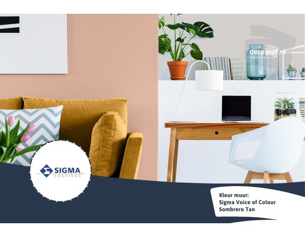 Kleurstaal Sigma ColourSticker Sombrero Tan PPG16-01 | Zelfklevende Kleurstaal Kleurstaal Sigma ColourSticker Sombrero Tan PPG16-01 | Zelfklevende Kleurstaal