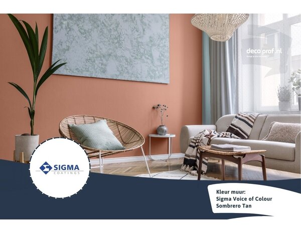 Sigma Sigma ColourSticker Sombrero Tan PPG16-01 | Zelfklevende Kleurstaal