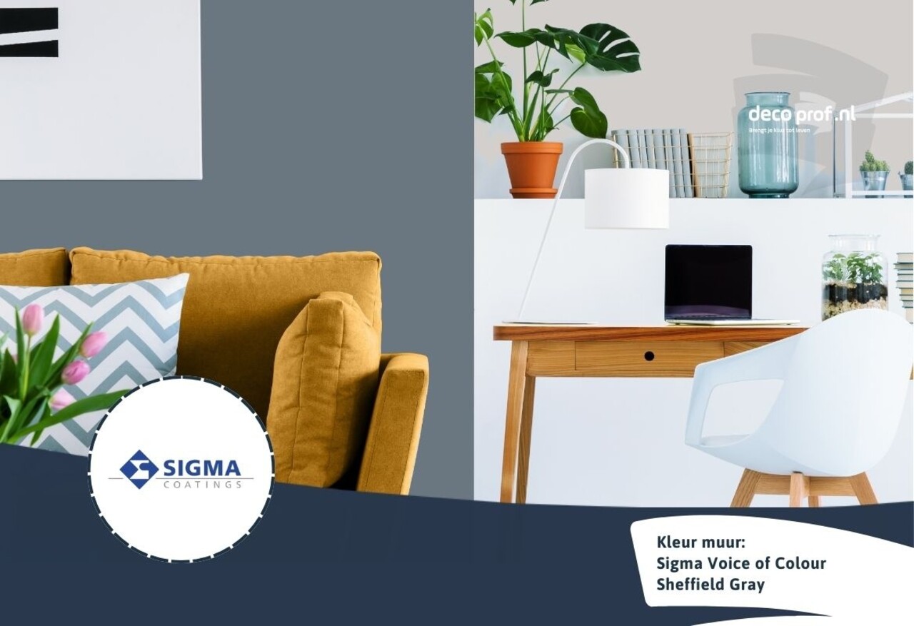 Sigma Sigma ColourSticker Sheffield Gray PPG1041-6 | Zelfklevende Kleurstaal