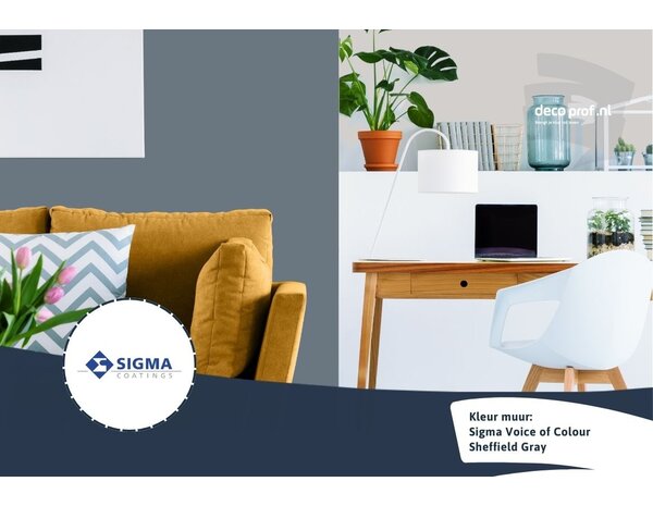 Sigma Sigma ColourSticker Sheffield Gray PPG1041-6 | Zelfklevende Kleurstaal