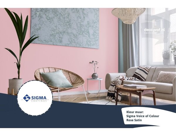 Sigma Sigma ColourSticker Rose Stain PPG1048-4 | Zelfklevende Kleurstaal
