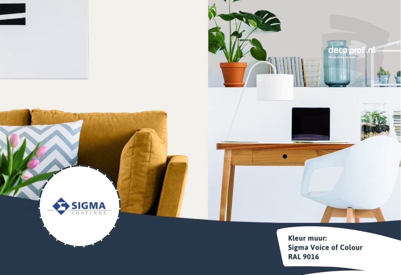 Kleurstaal Sigma ColourSticker RAL 9016 | Zelfklevende Kleurstaal Kleurstaal Sigma ColourSticker RAL 9016 | Zelfklevende Kleurstaal