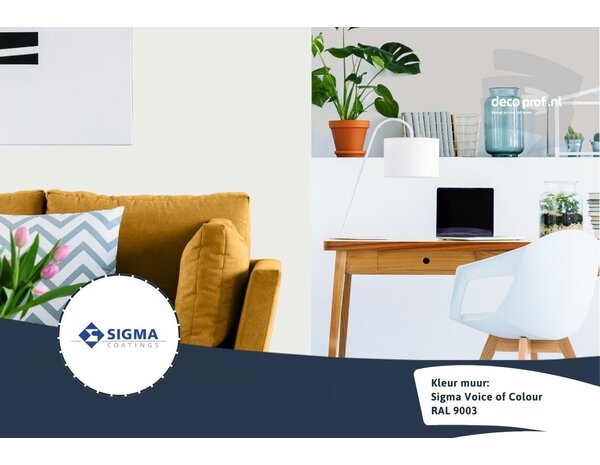 Kleurstaal Sigma ColourSticker RAL 9003 | Zelfklevende Kleurstaal Kleurstaal Sigma ColourSticker RAL 9003 | Zelfklevende Kleurstaal