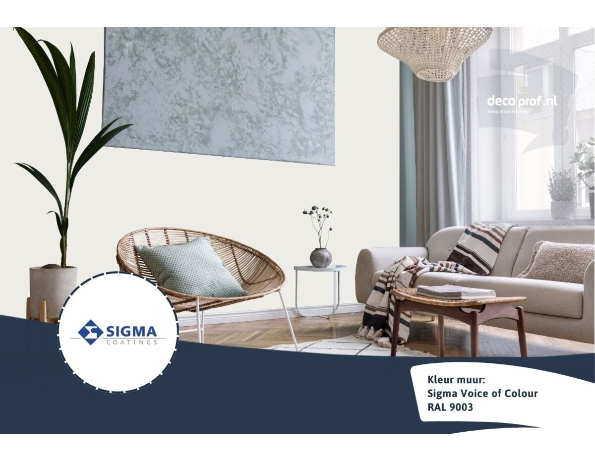 Sigma ColourSticker RAL 9003 bestellen? - Decoprof.nl