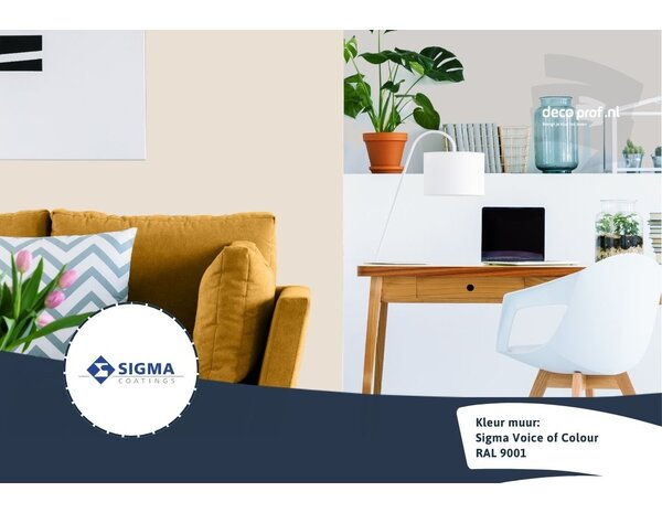 Sigma Sigma ColourSticker RAL 9001 | Zelfklevende Kleurstaal