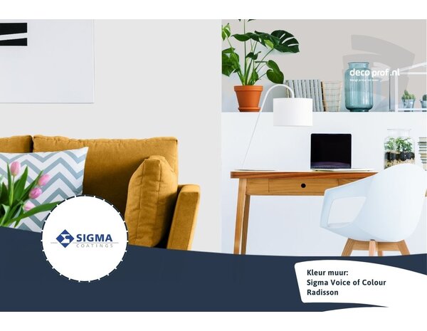 Sigma Sigma ColourSticker Radisson PPG1013-1 | Zelfklevende Kleurstaal