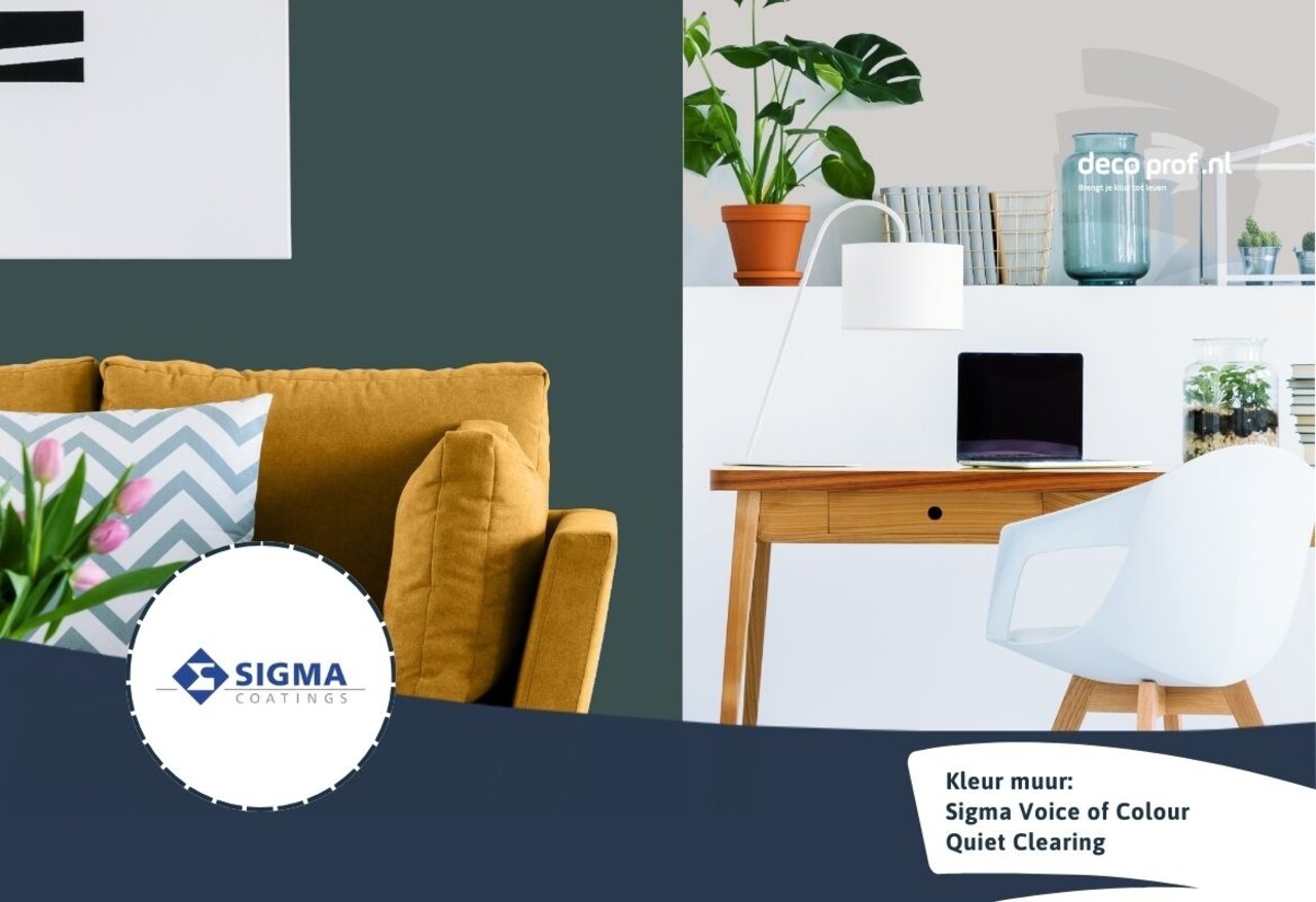 Sigma Sigma ColourSticker Quiet Clearing PPG1145-7 | Zelfklevende Kleurstaal