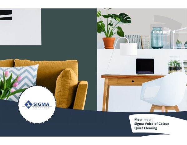 Sigma Sigma ColourSticker Quiet Clearing PPG1145-7 | Zelfklevende Kleurstaal