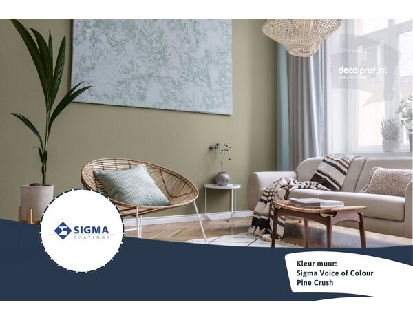 Sigma Sigma ColourSticker Pine Crush PPG1028-3 | Zelfklevende Kleurstaal