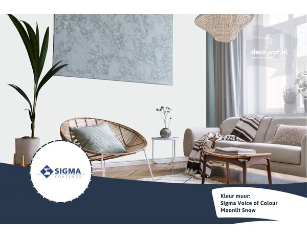 Sigma Sigma ColourSticker Moonlit Snow PPG1041-1 | Zelfklevende Kleurstaal