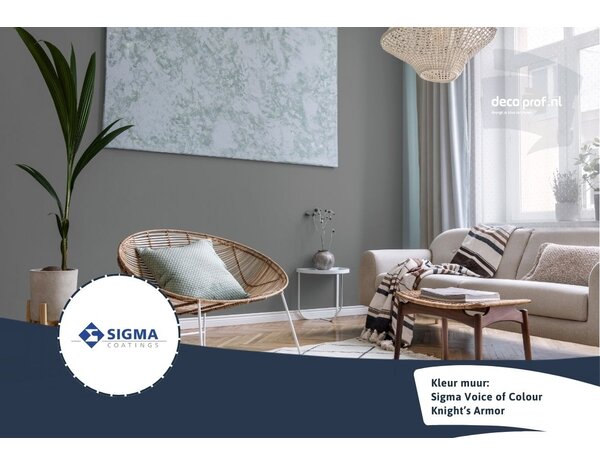 Kleurstaal Sigma ColourSticker Knights Armor PPG1001-6 | Zelfklevende Kleurstaal Kleurstaal Sigma ColourSticker Knights Armor PPG1001-6 | Zelfklevende Kleurstaal