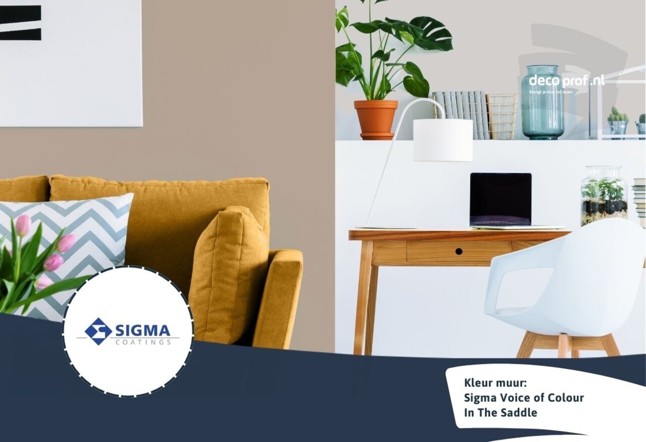 Kleurstaal Sigma ColourSticker In The Saddle PPG1020-4 | Zelfklevende Kleurstaal