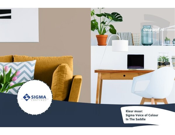 Kleurstaal Sigma ColourSticker In The Saddle PPG1020-4 | Zelfklevende Kleurstaal