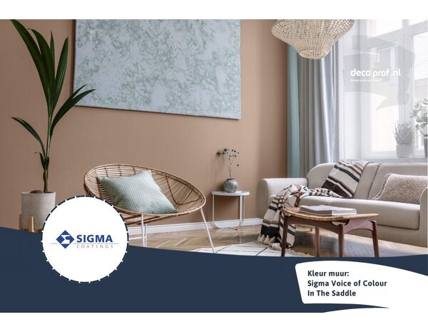 Sigma Sigma ColourSticker In The Saddle PPG1020-4 | Zelfklevende Kleurstaal Sigma Sigma ColourSticker In The Saddle PPG1020-4 | Zelfklevende Kleurstaal