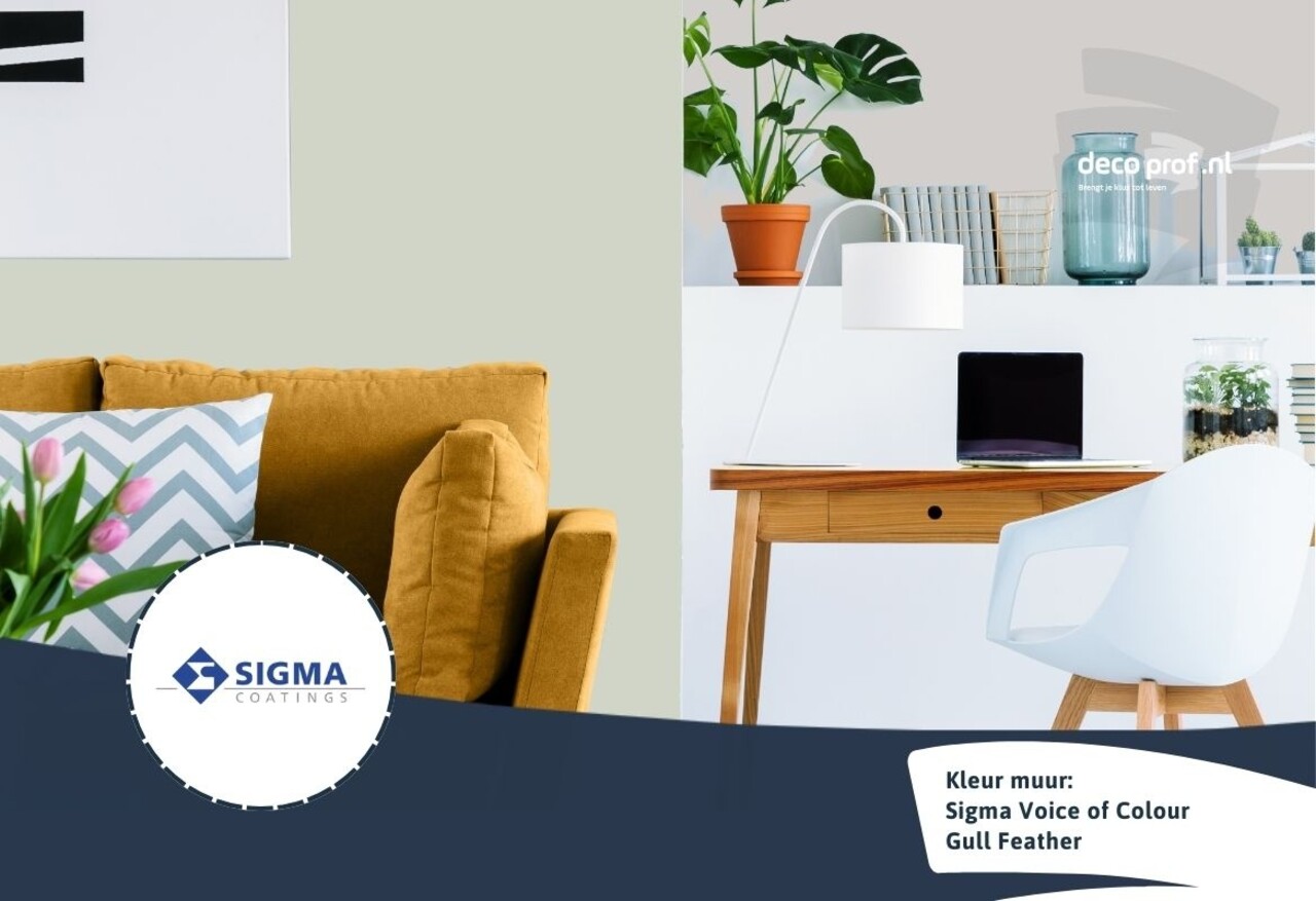 Sigma Sigma ColourSticker Gull Feather PPG1129-3 | Zelfklevende Kleurstaal