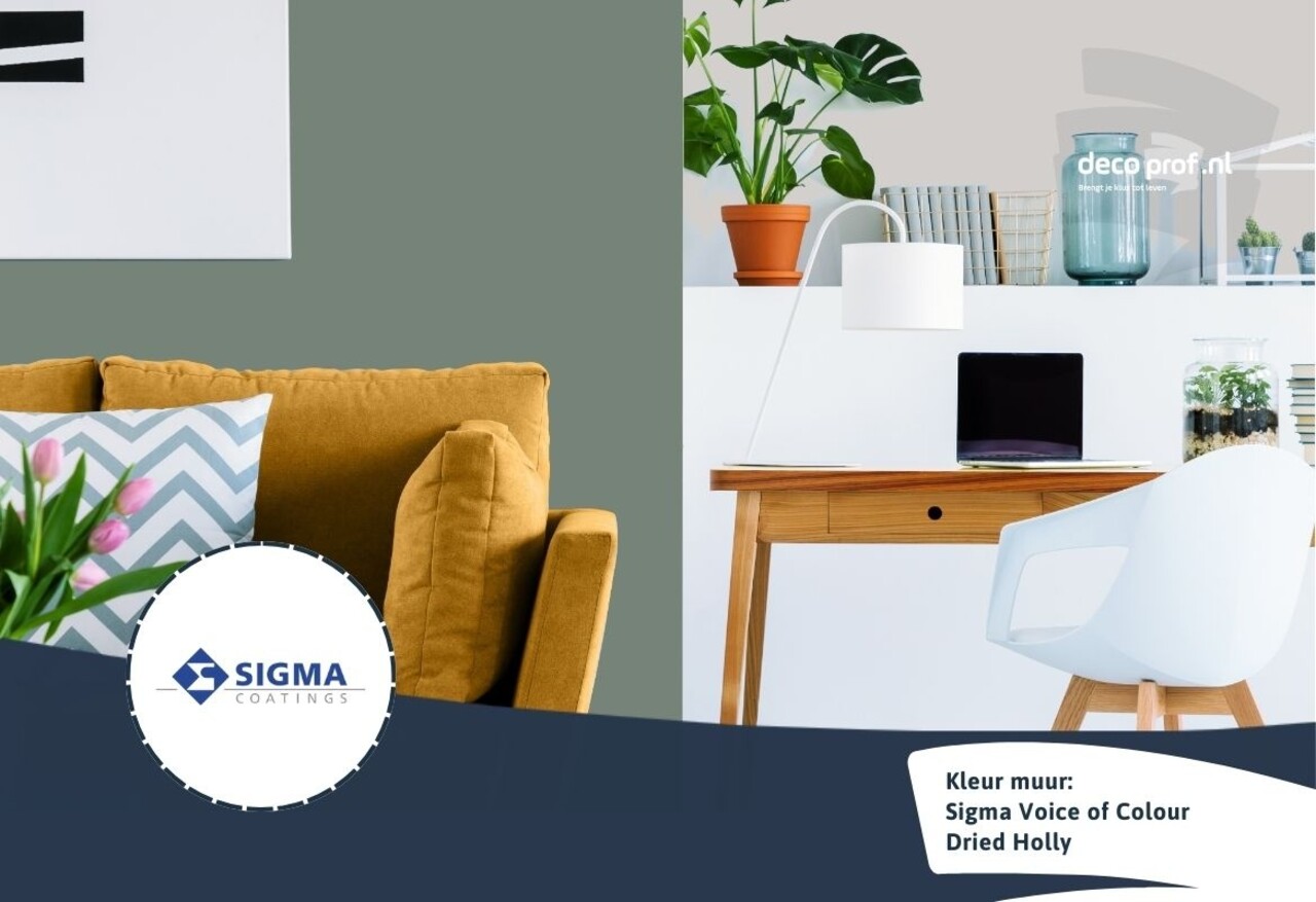 Sigma Sigma ColourSticker Dried Holly PPG1135-6 | Zelfklevende Kleurstaal