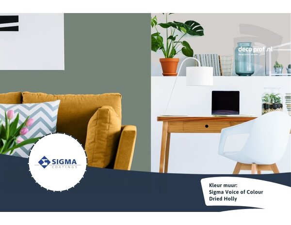 Sigma Sigma ColourSticker Dried Holly PPG1135-6 | Zelfklevende Kleurstaal