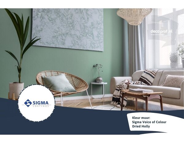 Sigma Sigma ColourSticker Dried Holly PPG1135-6 | Zelfklevende Kleurstaal