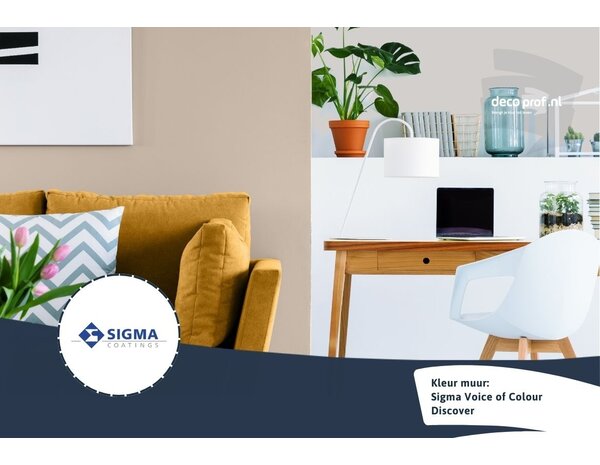 Sigma Sigma ColourSticker Discover PPG1021-3 | Zelfklevende Kleurstaal