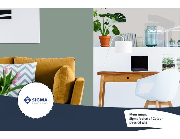 Sigma Sigma ColourSticker Days Of Old PPG1135-5 | Zelfklevende Kleurstaal