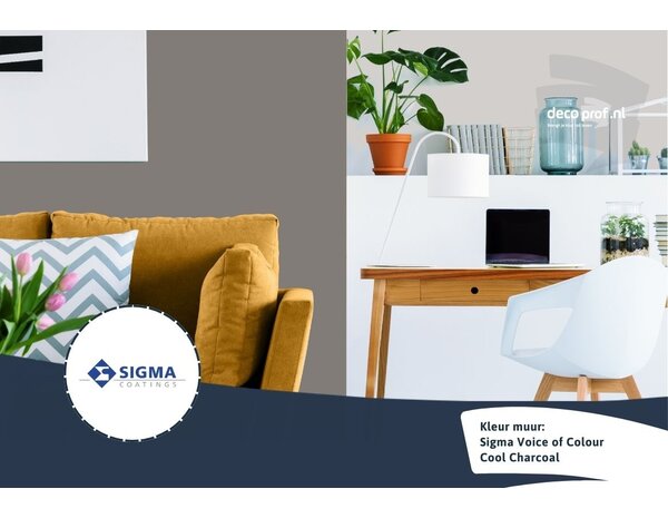 Kleurstaal Sigma ColourSticker Cool Charcoal PPG1007-6 | Zelfklevende Kleurstaal Kleurstaal Sigma ColourSticker Cool Charcoal PPG1007-6 | Zelfklevende Kleurstaal
