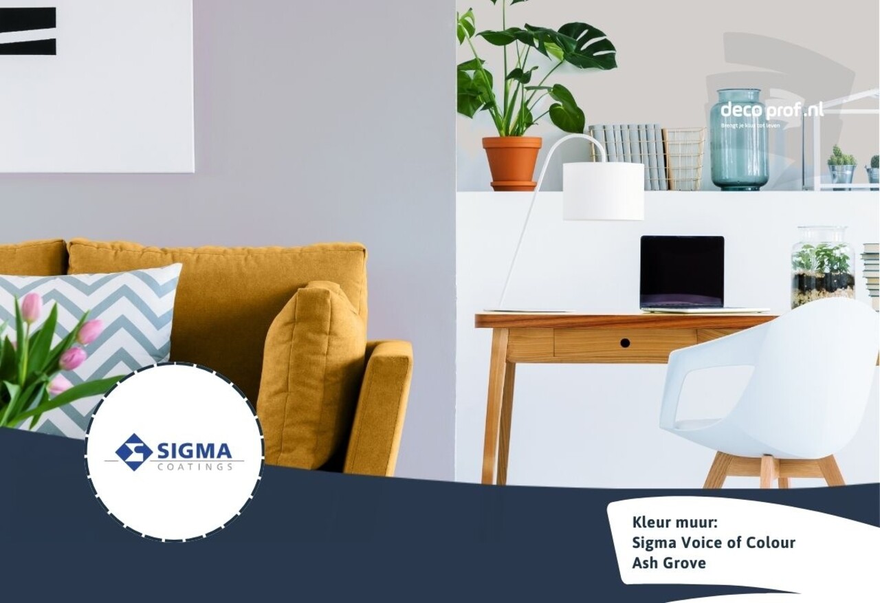 Sigma Sigma ColourSticker Ash Grove PPG1172-4 | Zelfklevende Kleurstaal