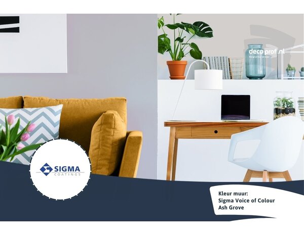 Sigma Sigma ColourSticker Ash Grove PPG1172-4 | Zelfklevende Kleurstaal