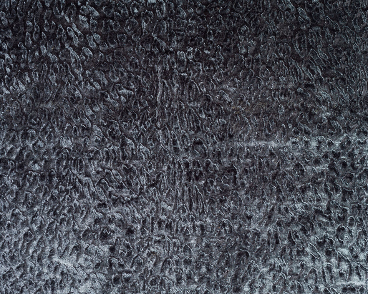 DWC Bobcat | Lengte per meter