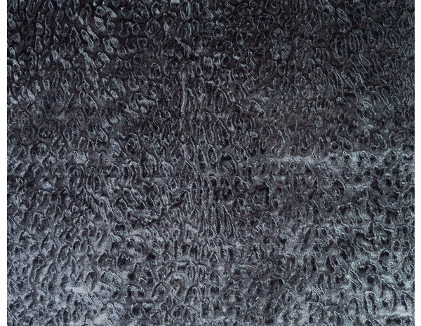 DWC Bobcat | Lengte per meter