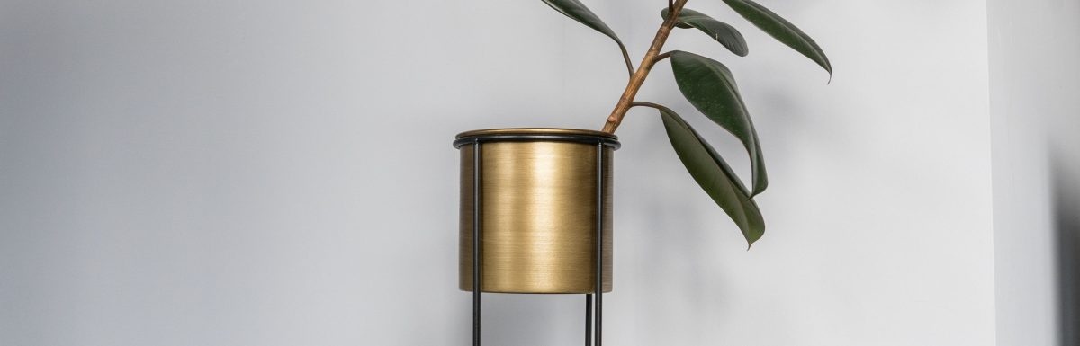 Stucwerk schilderen: is dat mogelijk Stucwerk schilderen: is dat mogelijk