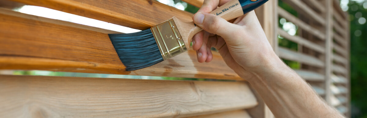 Breng meer leven in je achtertuin met een gekleurde schutting Breng meer leven in je achtertuin met een gekleurde schutting