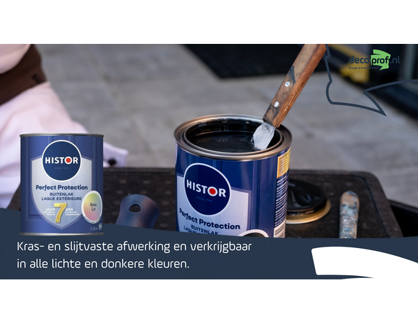 Histor Perfect Protection Buitenlak Zijdeglans