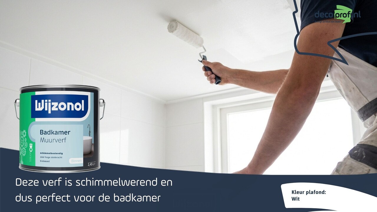Wijzonol Badkamer Muurverf Wijzonol Badkamer Muurverf