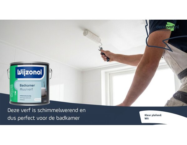 Wijzonol Badkamer Muurverf Wijzonol Badkamer Muurverf