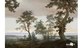 Eijffinger Magnifique Behang 351290