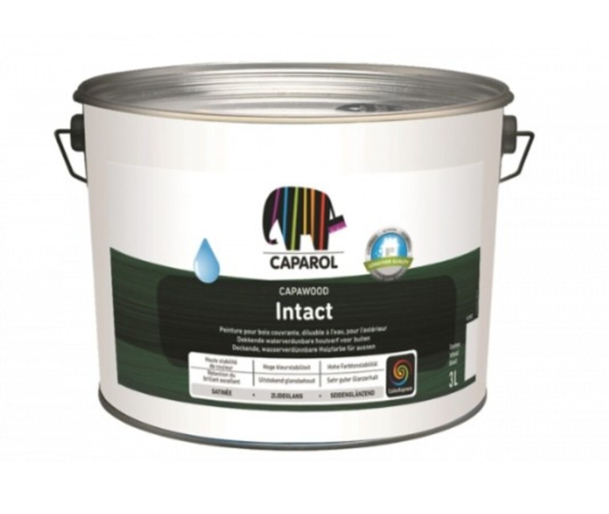 Caparol Capawood Intact | Dekkende Zijdeglans Houtverf