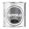 Trappenlak Extra RAL9005 Zwart Trappenlak Extra RAL9005 Zwart