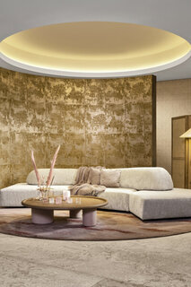 Arte Icons Platinum