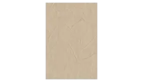 Arte Sculptura Behang Shards 42501
