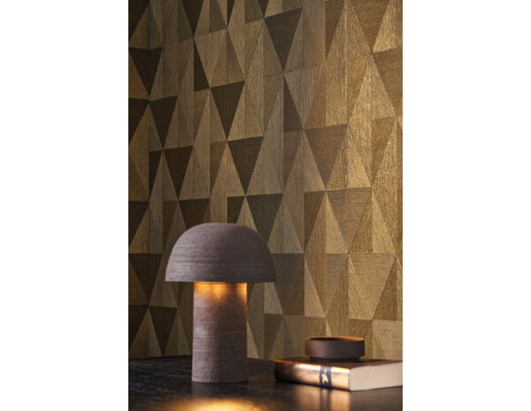 Casamance Textures Métal Parangon 75770610