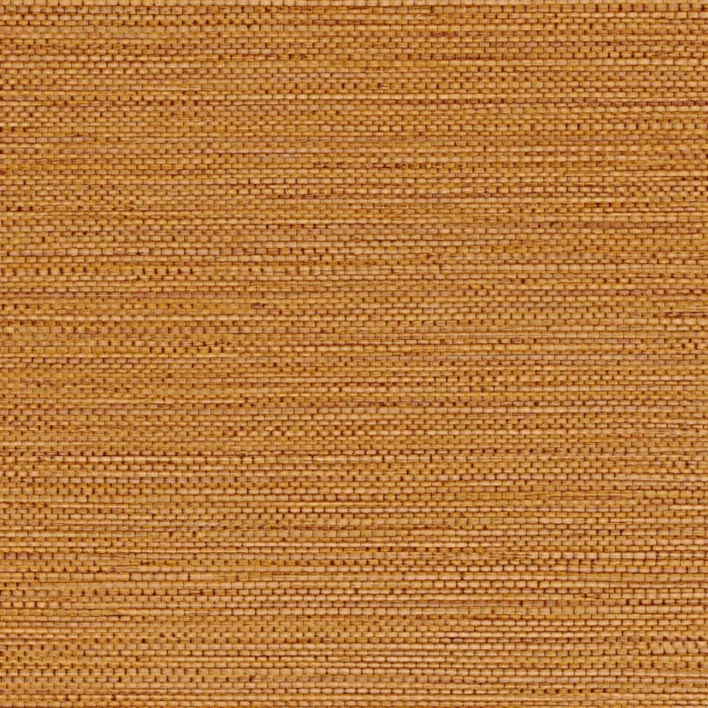 Casamance Golfe du Bengale Zostera 75972038